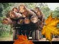 Cutting Down Forests is WRONG!!!!