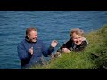 When puffins attack