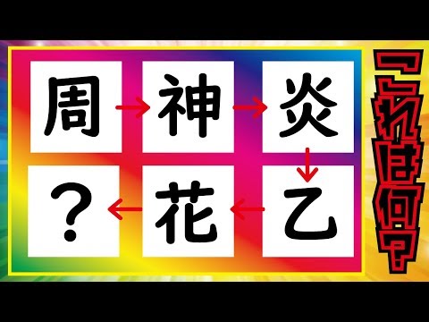 動画