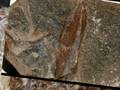 videos de Natural History Museum of the Lesvos Petrified Forest.wmv