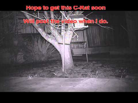 dreamhobbies - I got the Bushnell Trophy 8MP Trail Cam to monitor wildlife activity in my backyard, especially at night. Was able to capture some critters the last couple o...