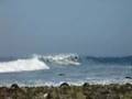 Medewi - the longest left in Bali
