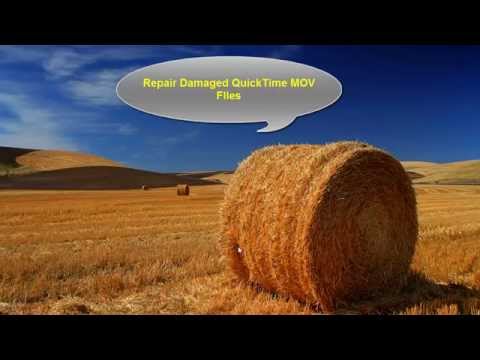 how to repair quicktime