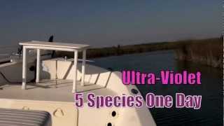 DockSide TV   