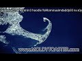 aquatrax5 darklihtnin3 hoodie YoMommasimdaddy93 ns s0yummy .mov