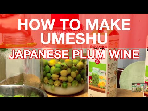 how to grow umeboshi plums