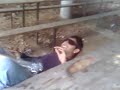 rocco trombatore siculo rocco trombatore siculo