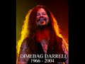 Pantera-Hollow