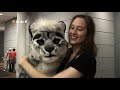 Antimon Lion at Anthrocon 2008