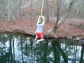tree swing tree swing
