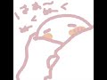 nukunuku nukunuku