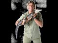 a tribute 2to steve irwin