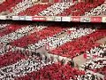 URAWA REDS SUPPORTERS