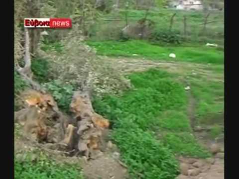 ΚΟΤΕΤΣΙΑ -