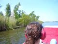 New Orleans Air Boat Swamp 2