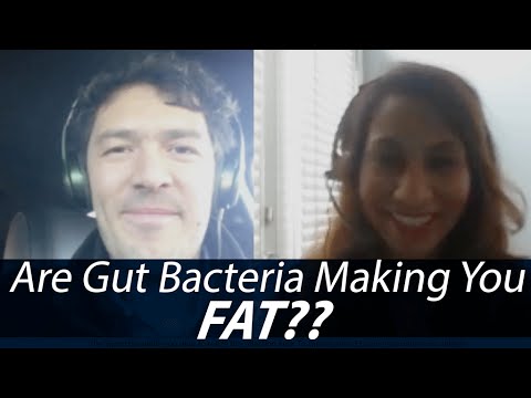 how to rebuild gut flora