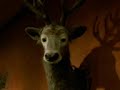 Jägermeister commercial Jägermeister commercial