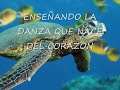academia de danzas polinesias he makana ke aloha