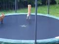 YouTube Video _jB52q5z1Bo