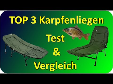 Karpfenliegen TEST & Vergleich | Top 3 Karpfenliegen Testbericht/Kaufempfehlung
