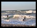 View Video