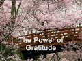 The Power of Gratitude