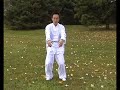 Six Sounds Qigong by Wang Xuejun (dongfangtaiji.com)