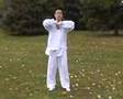 Six Sounds Qigong by Wang Xuejun (dongfangtaiji.com)