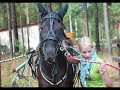Helexin muistovideo (myyty/sold)