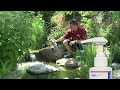 Aquascape Friday Videos