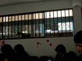 videos de chikle nadando xD