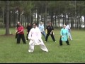 Chen Taiji Silk Reeling with Master Zhu Tiancai