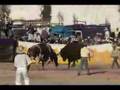 Peleyas de Toros