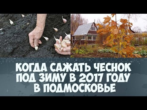 Как сделать талию уже парню Как сделать талию уже парню