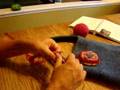 Felted Flower Tutorial