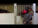 Tommy VS Jake [ 1 Handed ]