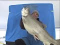 JigHeads - Trolling Giant Lake Trout with the Strike Saver release system (Part 1)