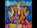 Shelter - Eternal