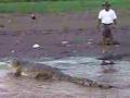 Costa-Rica-Croc-atta