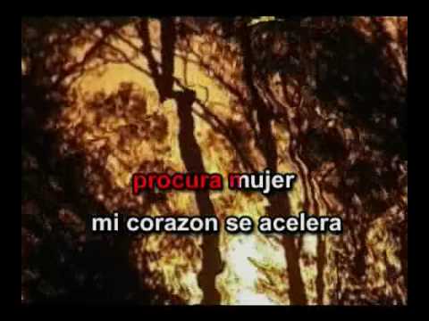 Miguel Bosé - Procura No Amarme