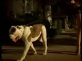 Deftones - Bloody Cape (Battle Axe Intro)