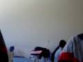 videos de pintando a la cate