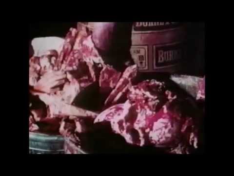 The Corpse Grinders (1971) - Trailer