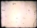 Wildife (Yarra River Re-recording) - The Phoenix Foundation