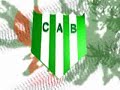 Telon naranja y verde Del Taladro