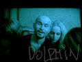 dolphin   da