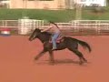 4/22/08 \"Toppers Famous Dash\" Barrel race