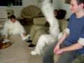 Soulja Boy Ware Wolf and Rabbit Style