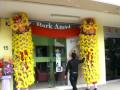 Bark Angel Opening (1)