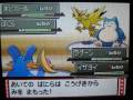 2009 ポケモン WORLD CHAMPIONSHIPS 日本代表決定大会 神奈川縣第1天B組決勝賽